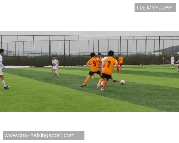 北京足球赛激情四溢球迷齐聚共庆盛事展现团结与友谊